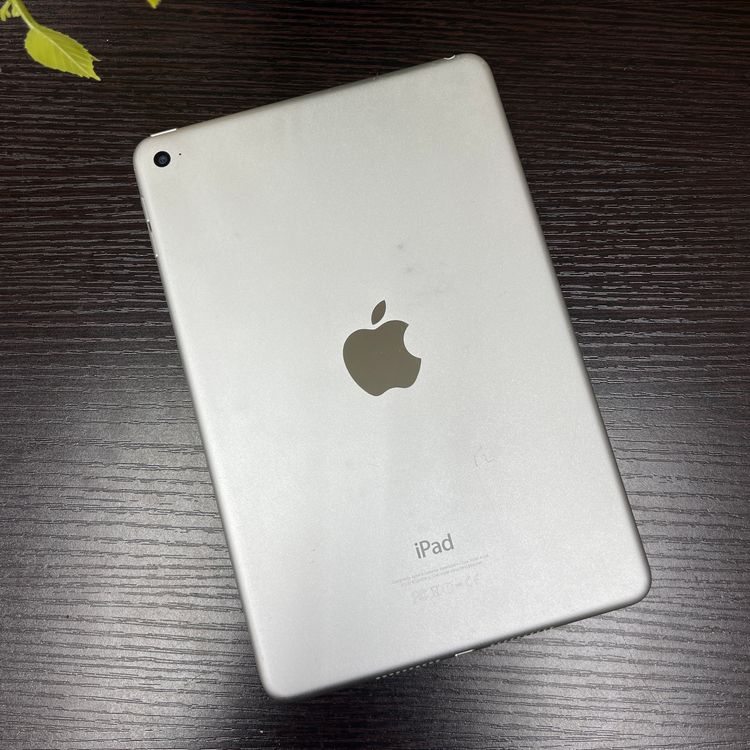 iPad mini 4 128GB С Wi-Fi ǥ ̵