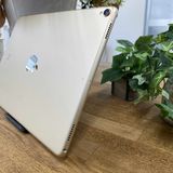 iPad Pro 10.5 256GB  WiFi ̵
