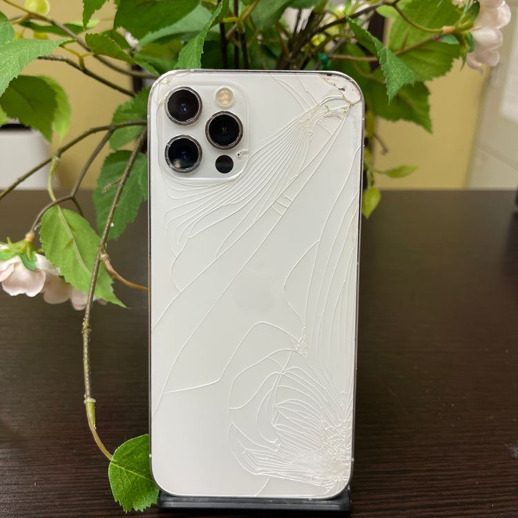 iPhone 12Pro 256GB С  SIMե꡼ ̵