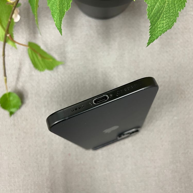 iPhone 15Plus 256GB �֥�å� ������ SIM�ե꡼����̵��