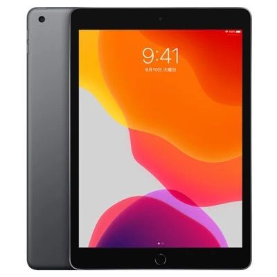 iPad(9) 64GB ڡ쥤 Wi-Fiǥ