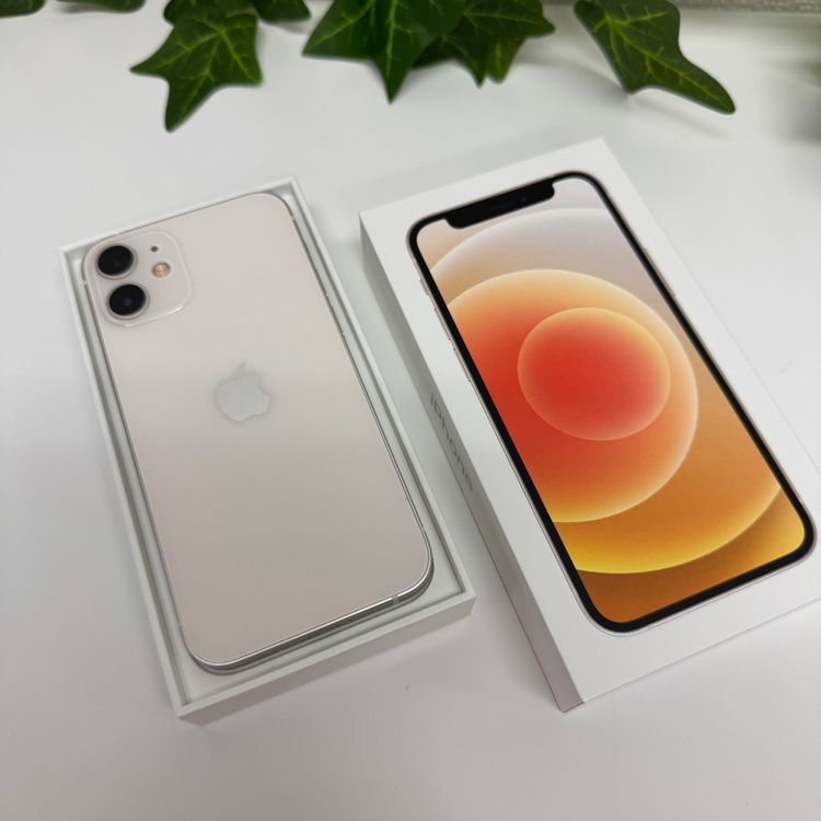 ����Ʊ�� ���� iPhone12 Mini 256GB �ۥ磻�� ����SIM�ե꡼ ����̵��