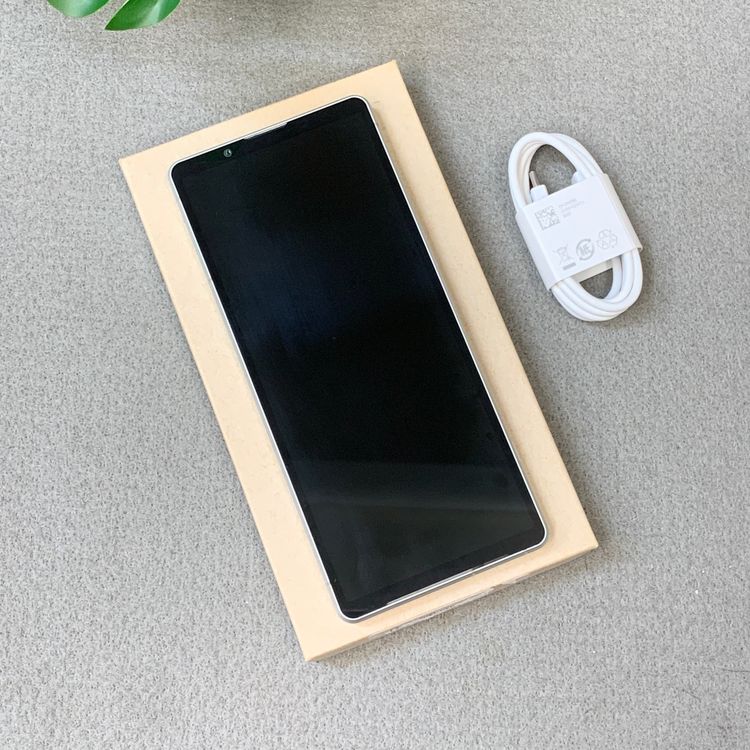 Xperia 5 V SO-53D 128GB �ץ���ʥ���С� ����SIM�ե꡼ ����̵��