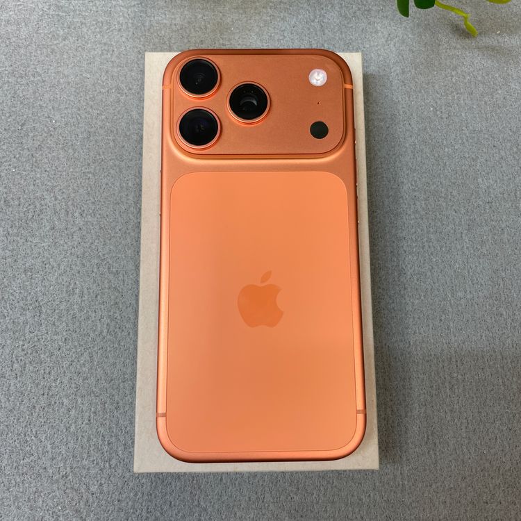 �Хåƥ꡼ 100% iPhone 17Pro 256GB �����ߥå������ SIM�ե꡼