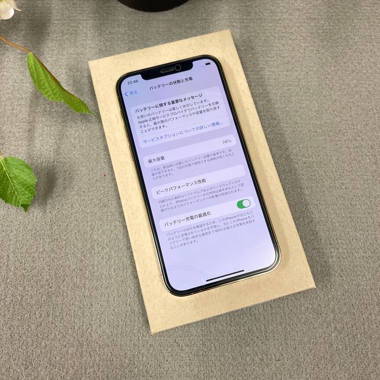 iPhone 12Pro ������� 256GB ����SIM�ե꡼ ����̵��