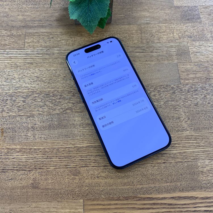 �Хåƥ꡼ 90�� iPhone 15Pro 256GB �֥롼 ������ SIM�ե꡼����̵��
