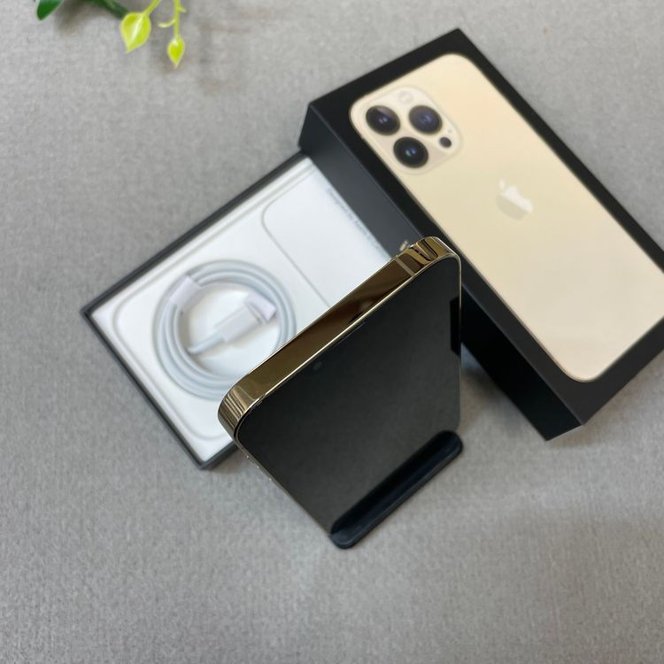 �Хåƥ꡼ 100% iPhone 13Pro 256GB ������� ������ SIM�ե꡼ ����̵��