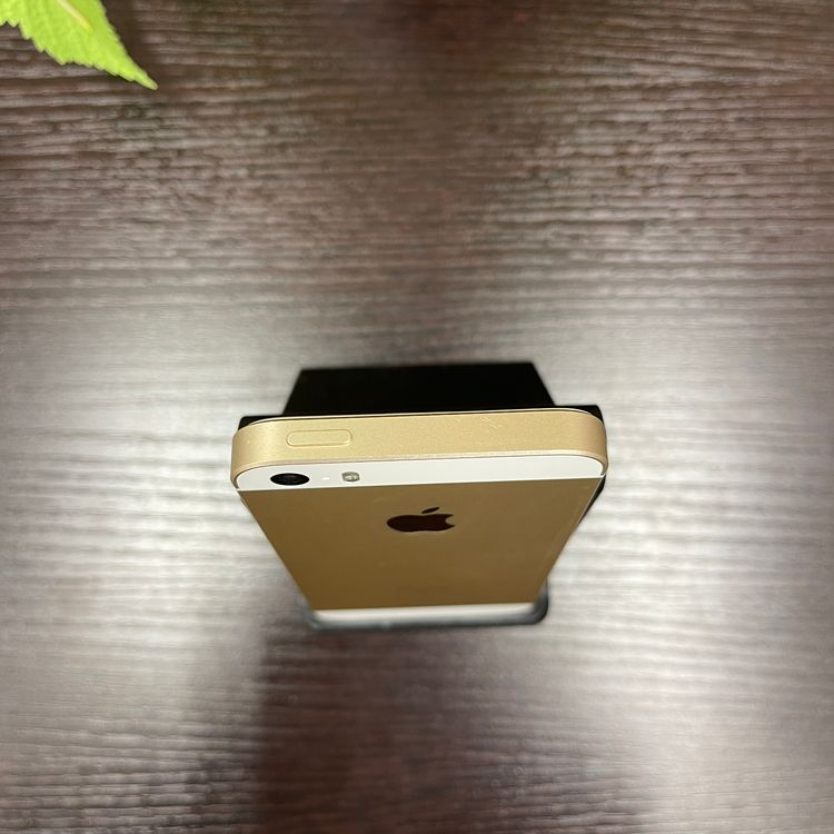 iPhone SE 32GB  SIMե꡼ ̵