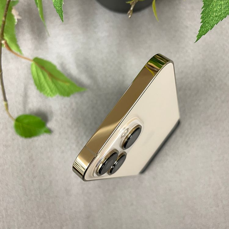 iPhone 13Pro 256GB  SIMե꡼ ̵