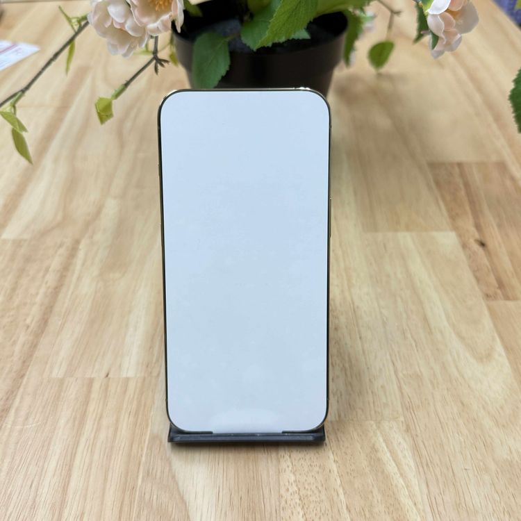  iPhone 13Pro 256GB  SIMե꡼̵