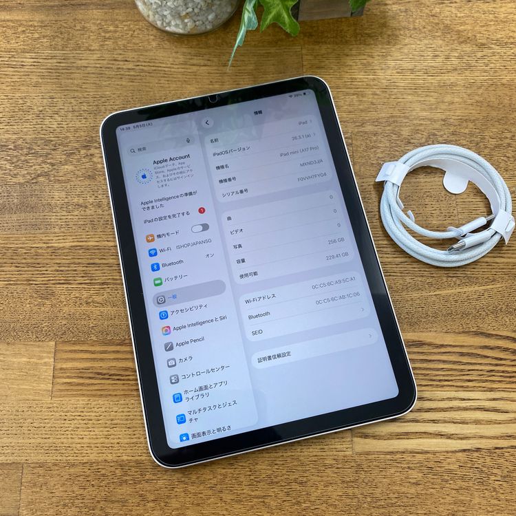 iPad Mini A17Pro 256GB �������饤�� WiFi ��ǥ� ����̵��
