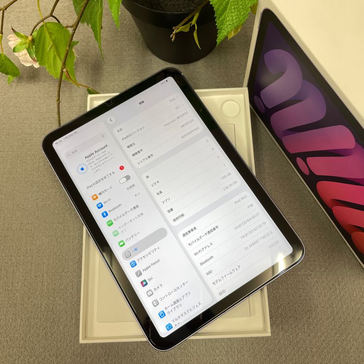 iPad mini 6 ѡץ 256Gb Wi-Fi + Cellularǥ