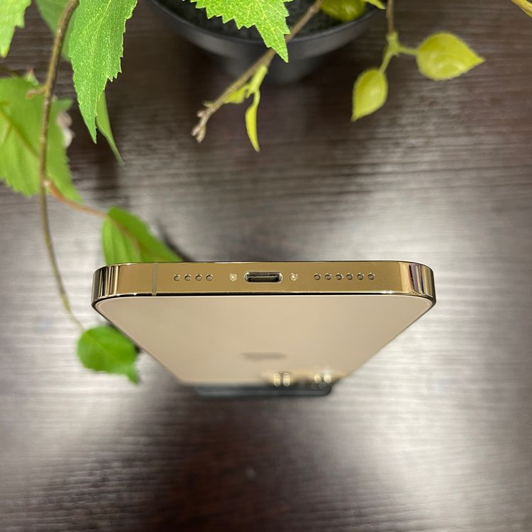iPhone 13ProMax 256GB  SIMե꡼ ̵