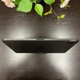 iPad Pro 113˥ڡ쥤 128GB Wi-Fi ǥ