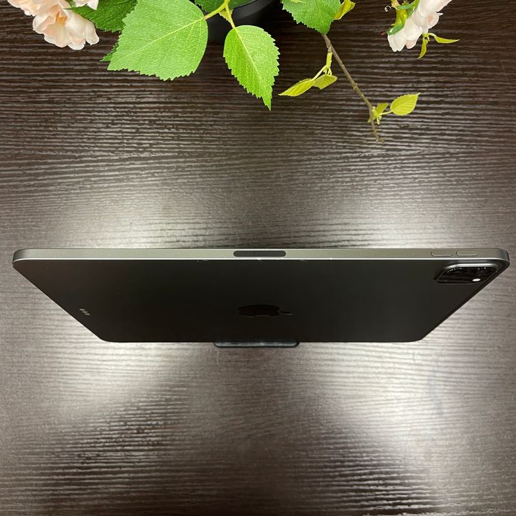 iPad Pro 113˥ڡ쥤 128GB Wi-Fi ǥ