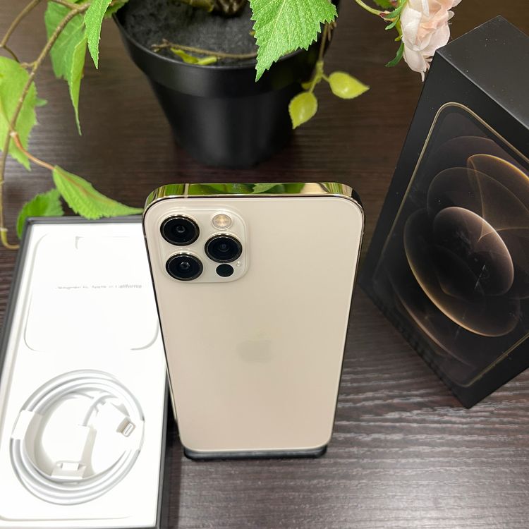 iPhone 12Pro 128GB  SIMե꡼ ̵