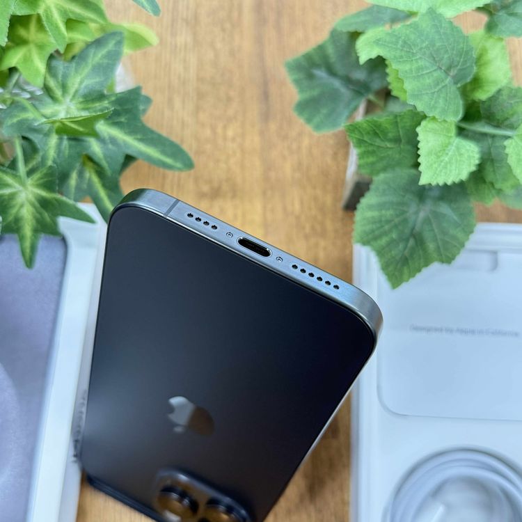 iPhone 15ProMax 1TB ֥åSIMե꡼̵