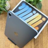 ̤ iPad MiNi A17Pro 256GB ֥롼WiFiǥ̵