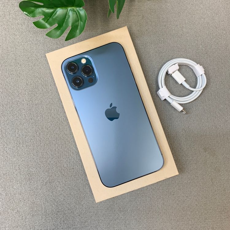 �Хåƥ꡼ 100�� iPhone12 ProMax 256Gb ����SIM�ե꡼ ����̵��