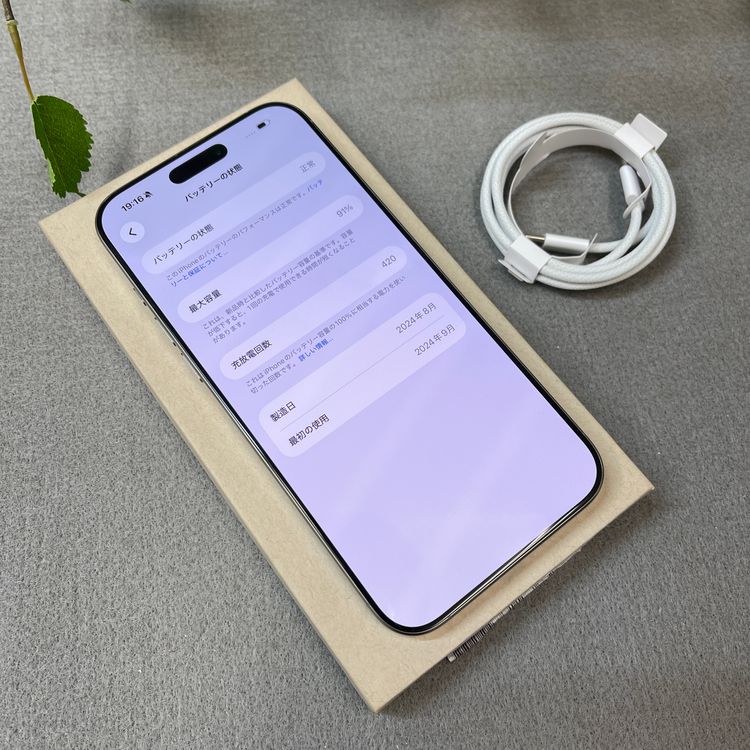 ����Ʊ�� iPhone 16ProMax 256GB �ʥ����� ������ SIM�ե꡼