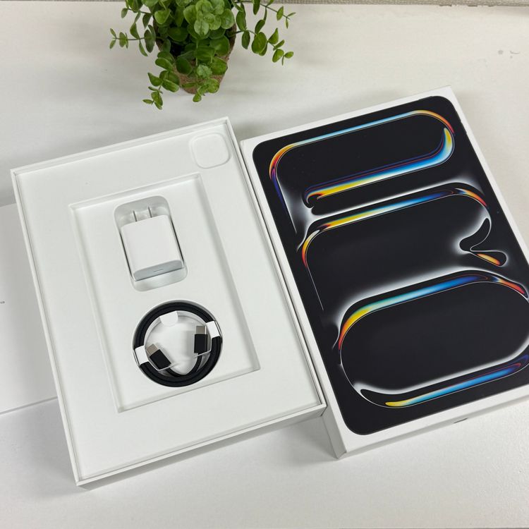 ����Ʊ�� iPad Pro M5 11����� 256GB 2025ǯ Wi-Fi��ǥ� ����̵��