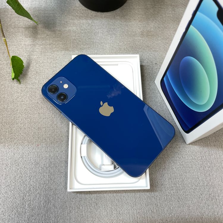 iPhone 12 128GB �֥롼 ����SIM�ե꡼ ����̵��