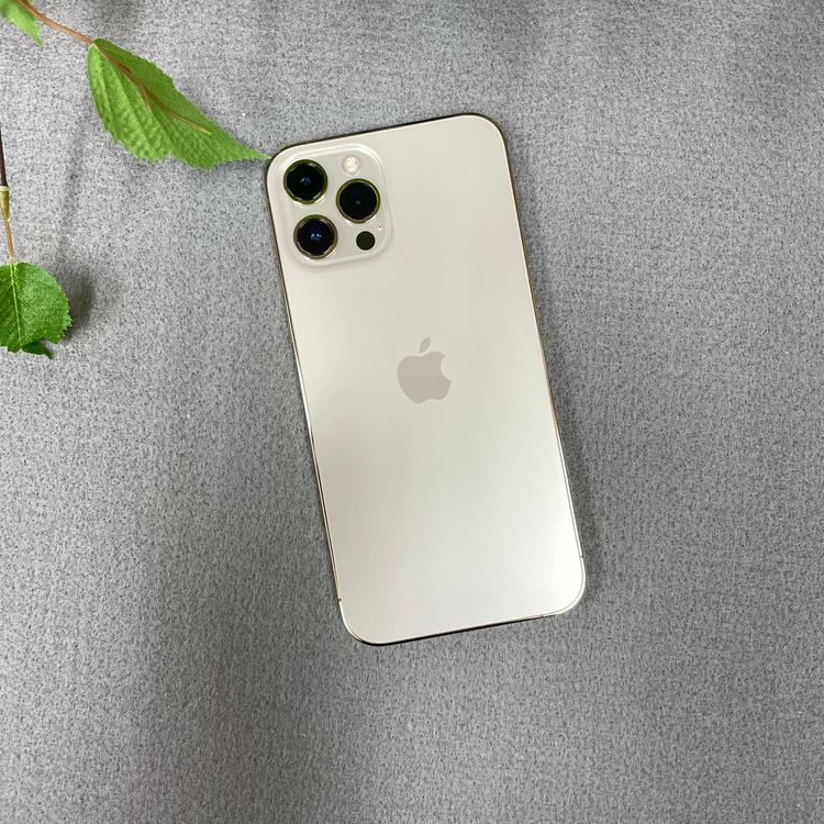 iPhone12 Pro Max 256Gb ������� ����SIM�ե꡼ ����̵��