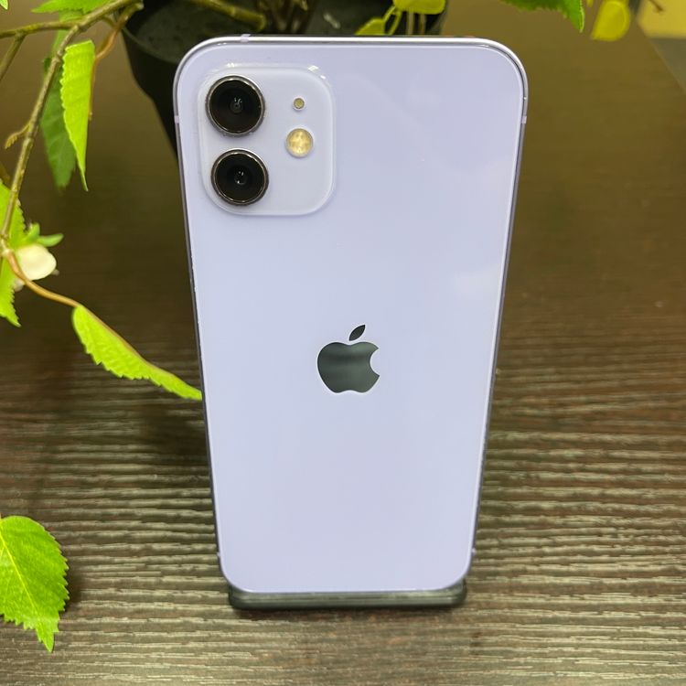 iPhone 12  256GB ѡץ SIMե꡼ ̵