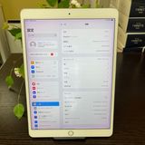 iPad Pro 10.5 64GB Wi-Fi + Cellularǥ SIMե꡼