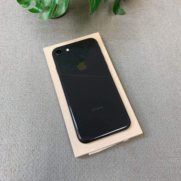 iPhone8 ���ڡ������쥤 64GB ������SIM�ե꡼����̵��
