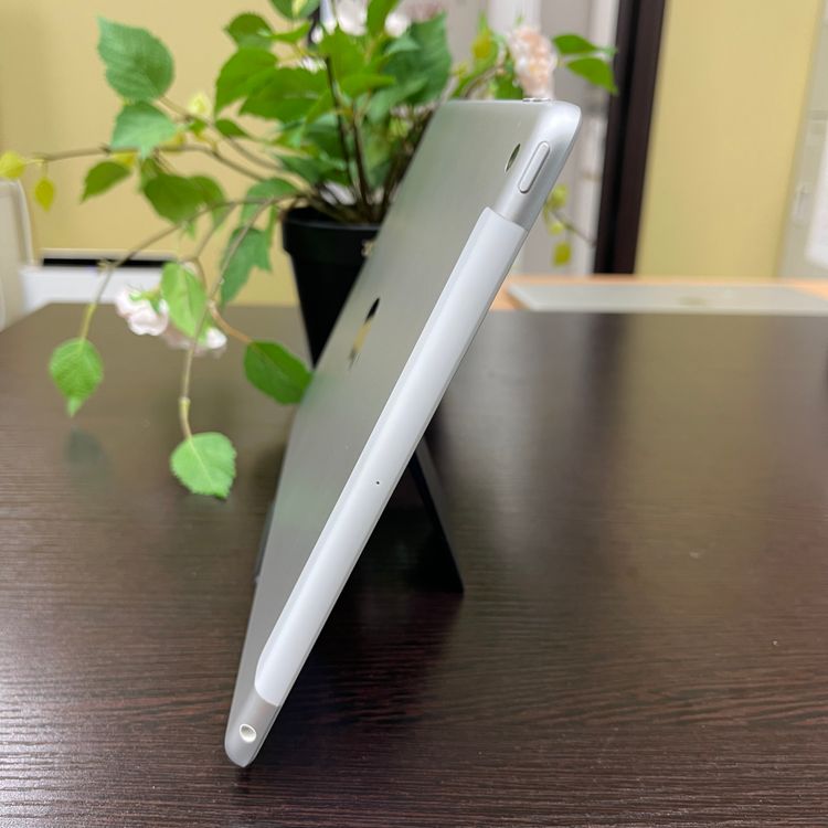 iPad(8) 32GB Wi-Fi + Cellularǥ SIMե꡼