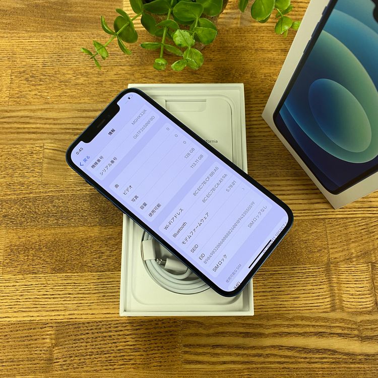 iPhone12 �֥롼 128GB ������SIM�ե꡼ ����̵��