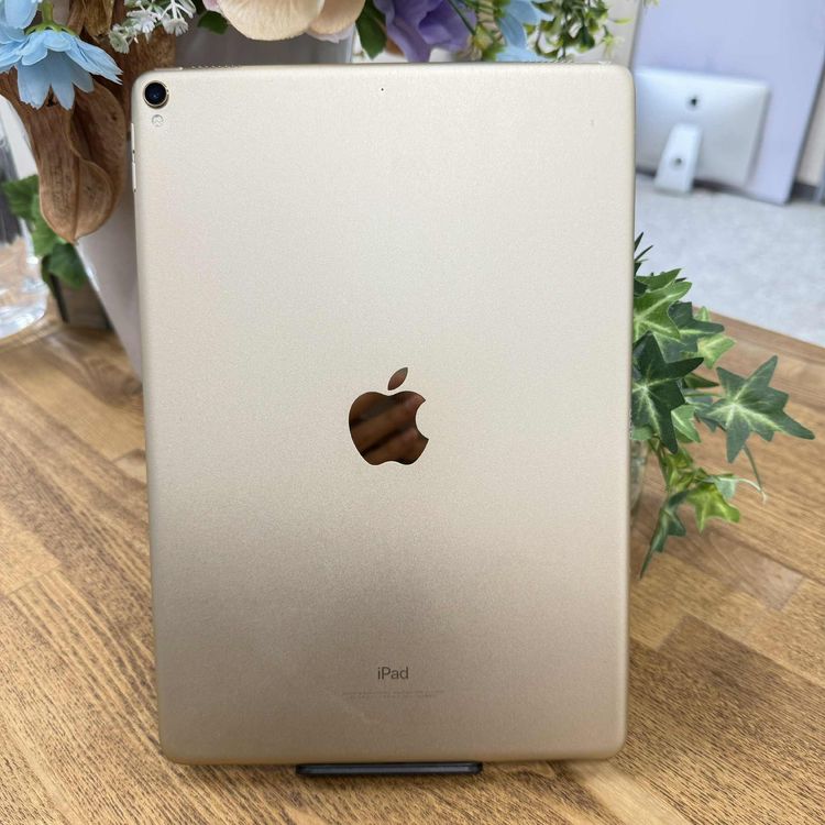 iPad Pro 10.5 256GB  WiFi ̵