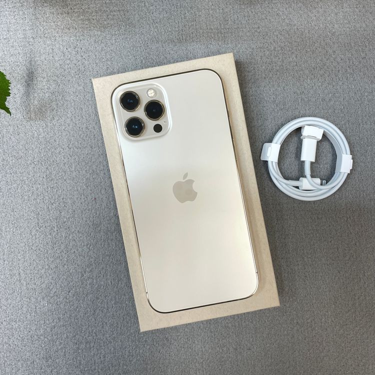 iPhone12 Pro Max 256Gb ������� ����SIM�ե꡼ ����̵��