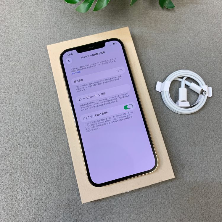 �Хåƥ꡼ 97�� iPhone12 ProMax 256Gb ������� ����SIM�ե꡼ ����̵��