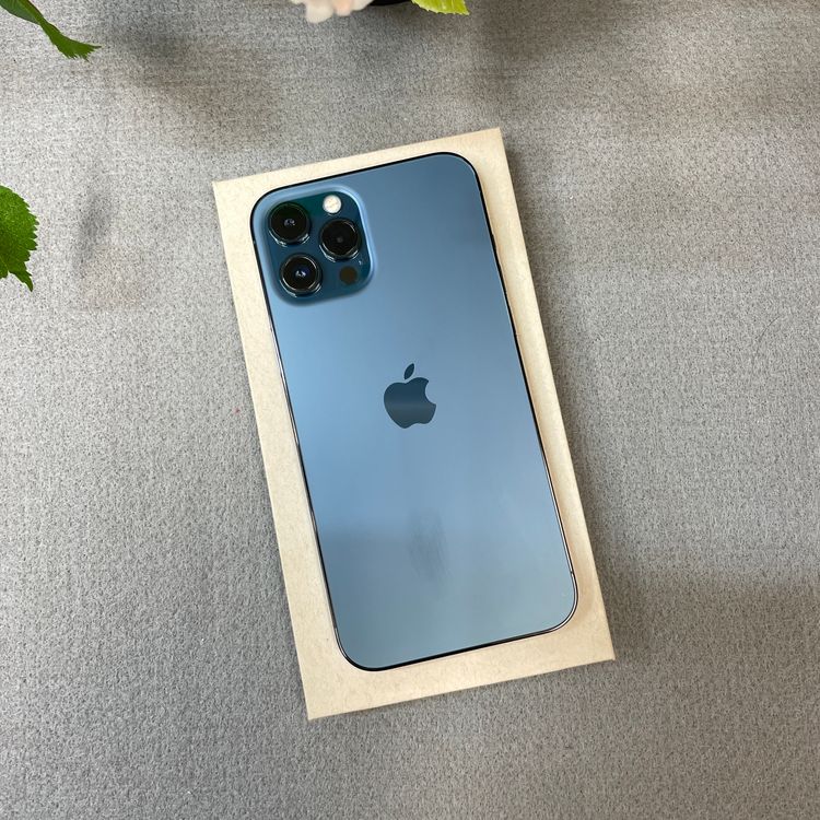 iPhone 12ProMax 128Gb �ѥ��ե��å��֥롼 ����SIM�ե꡼ ����̵��