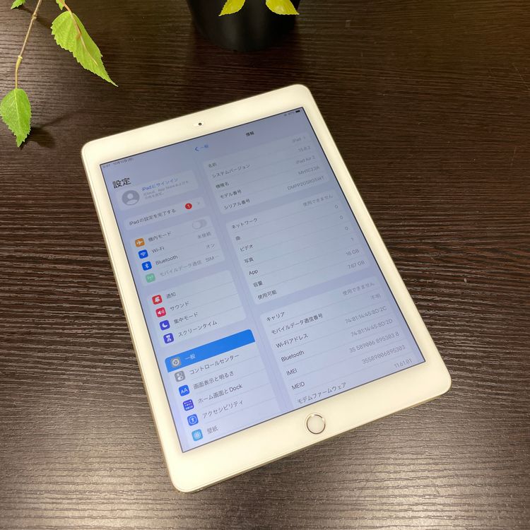 iPad Air 2  16GB Wi-Fi + Cellularǥ