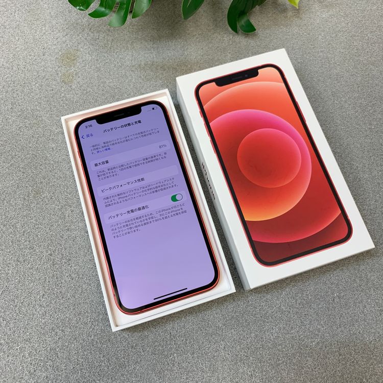 iPhone 12 64GB ��å� ������ SIM�ե꡼����̵��
