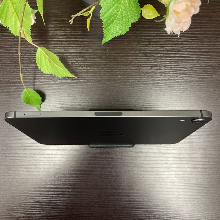 iPad mini 6 ڡ쥤 256GB Wi-Fi + Cellularǥ
