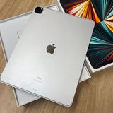 iPad Pro 12.9���������5�����M1���å� 1TB Wi-Fi + Cellular