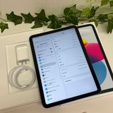 ����Ʊ�� iPad A16  256Gb �֥롼 WiFi�� ����̵��