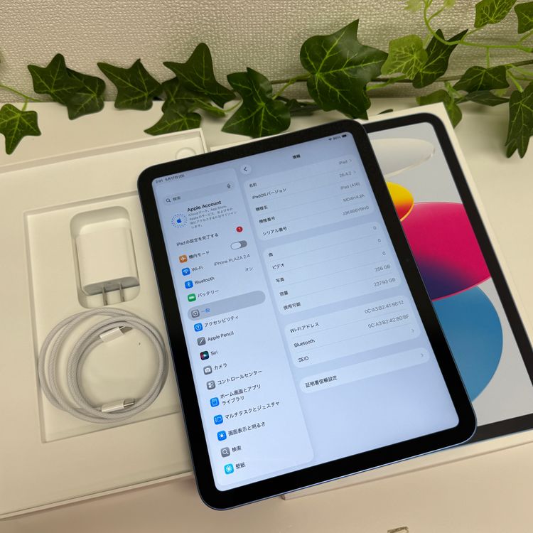 ����Ʊ�� iPad A16  256Gb �֥롼 WiFi�� ����̵��