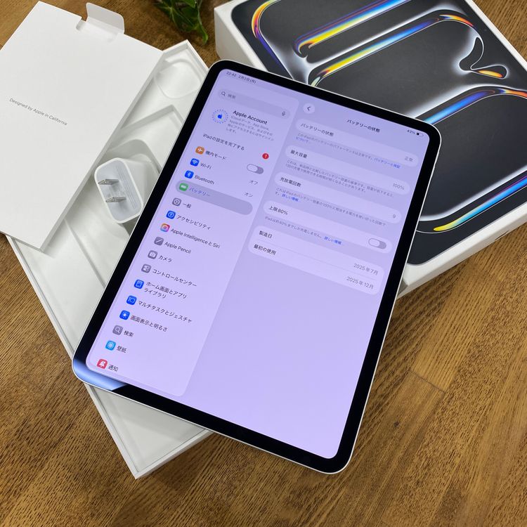 ����Ʊ�� iPad Pro 11����� M5 256GB ����С� WiFi ��ǥ� ����̵��