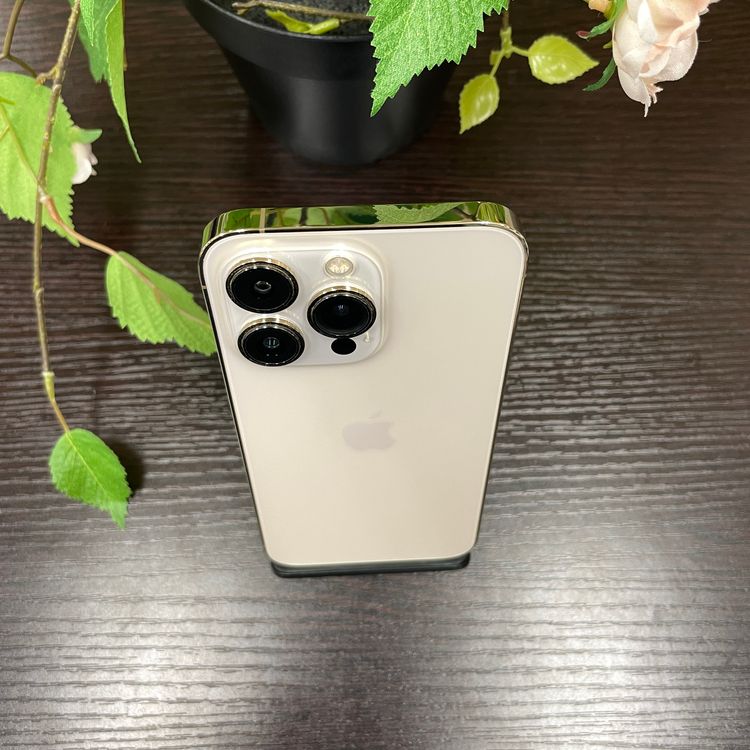 iPhone 13Pro 256GB  SIMե꡼ ̵