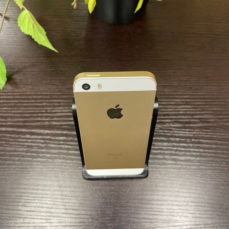 iPhone SE 32GB  SIMե꡼ ̵