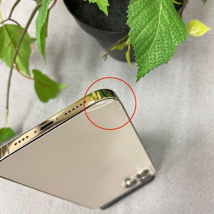 iPhone12 Pro Max 256Gb  SIMե꡼ ̵