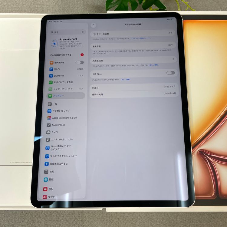 �Хåƥ꡼100% iPad Air 13����� M3 256GB Wi-Fi + Cellular