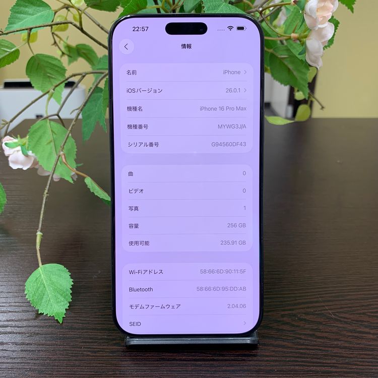 iPhone 16ProMax 256GB ֥å  SIMե꡼ ̵