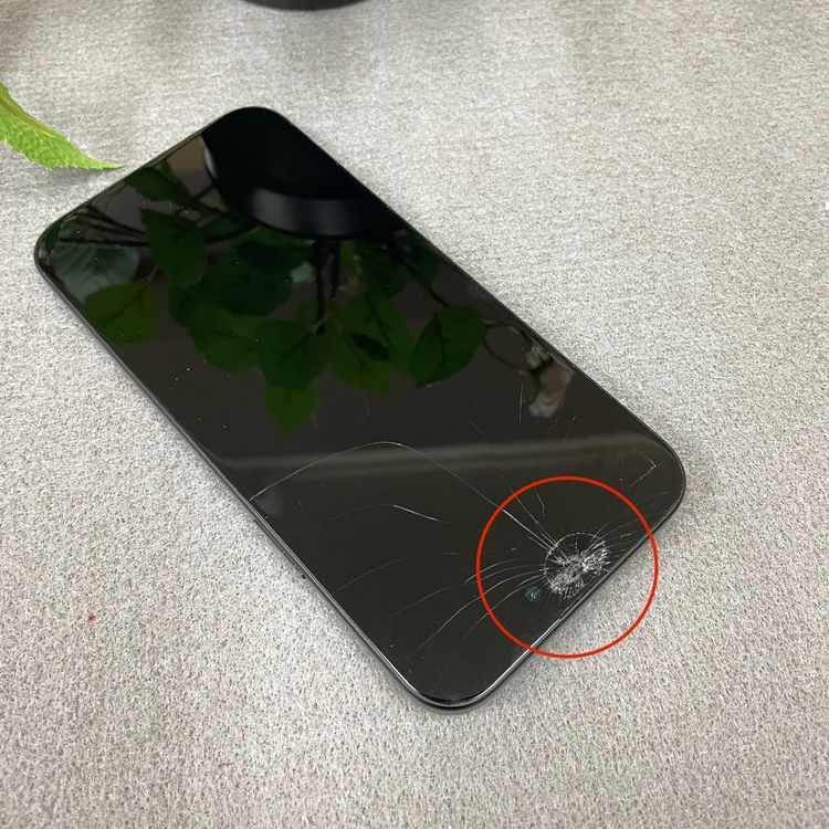 iPhone 15Plus 256GB �֥�å� ������ SIM�ե꡼����̵��