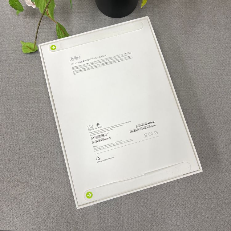 ̤ 11 iPad Pro M4 å WiFi + Cellular ǥ